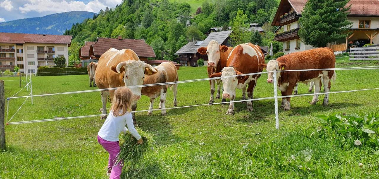Ferienhaus Michael Bad Kleinkirchheim Bagian luar foto